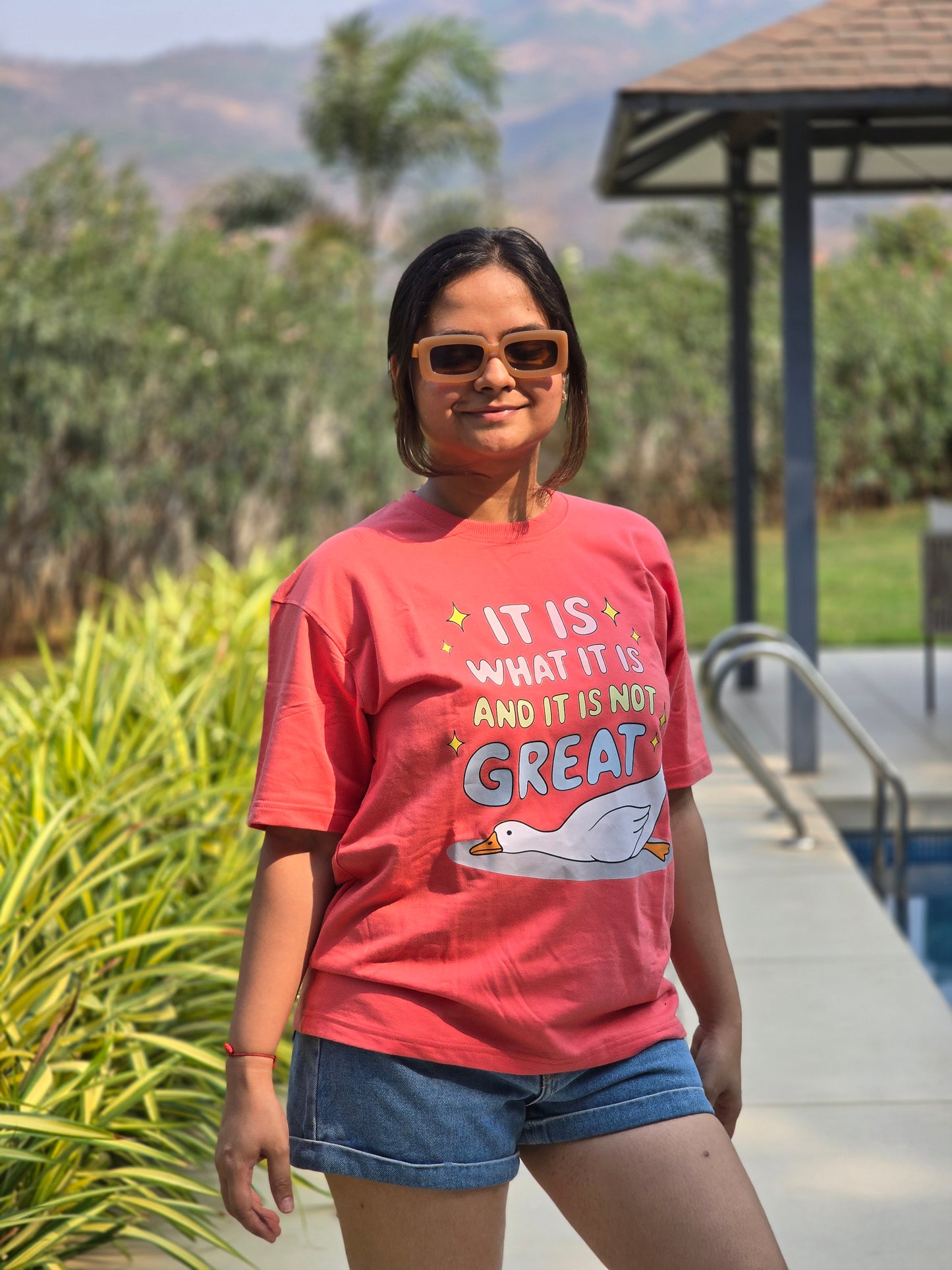It Is What It Is Oversized Carrot Cheesecake Tshirt